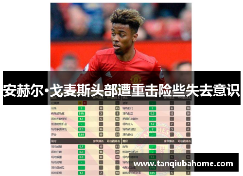 安赫尔·戈麦斯头部遭重击险些失去意识 安赫尔·戈麦斯头部遭重击险些失去意识