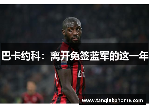 巴卡约科:离开免签蓝军的这一年 巴卡约科:离开免签蓝军的这一年